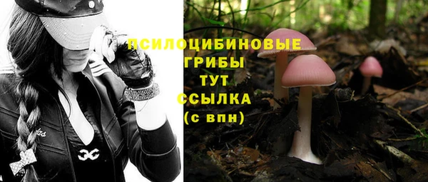 ALPHA-PVP Армянск